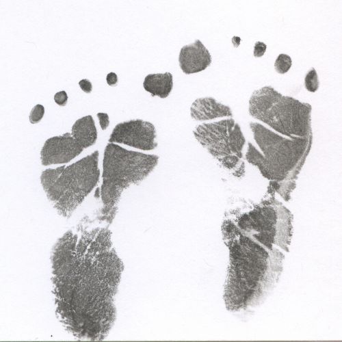 Oliver Reeve Obituary Tipton Iowa